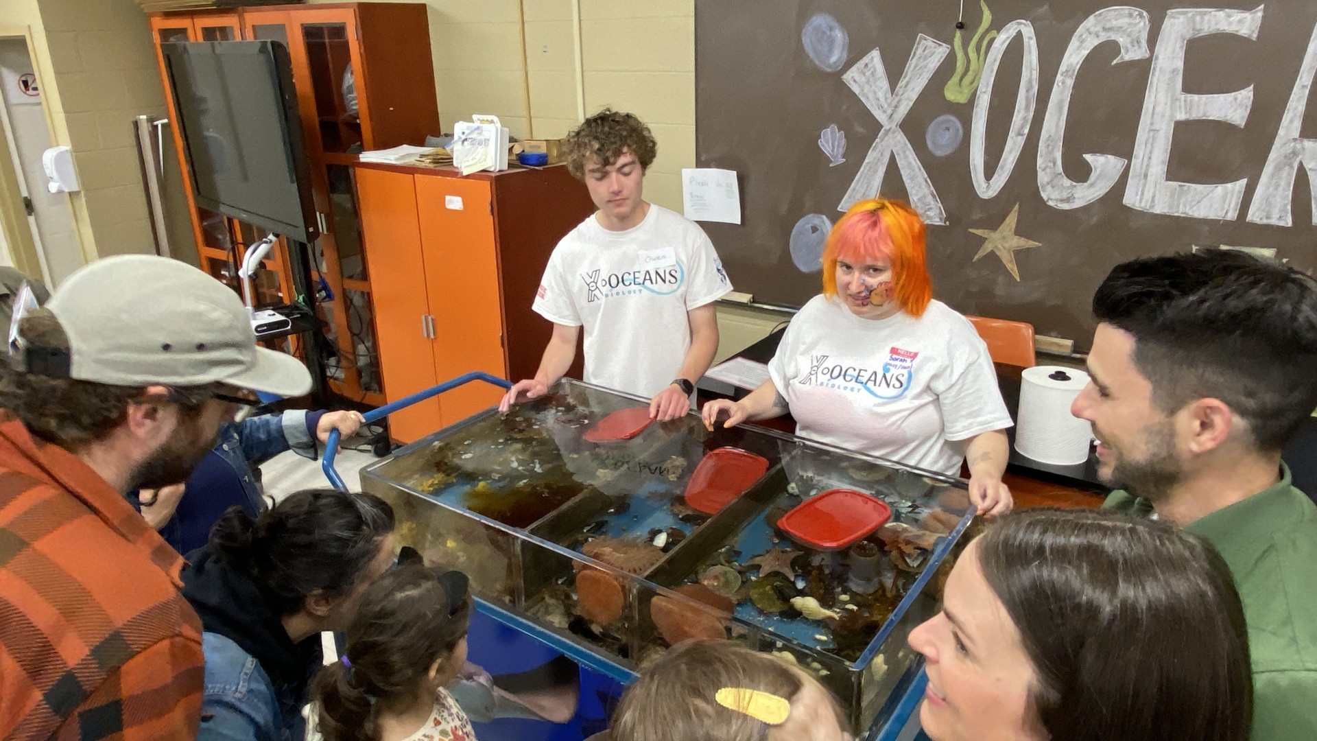 Touch tank and participants at World Oceans Day 2024
