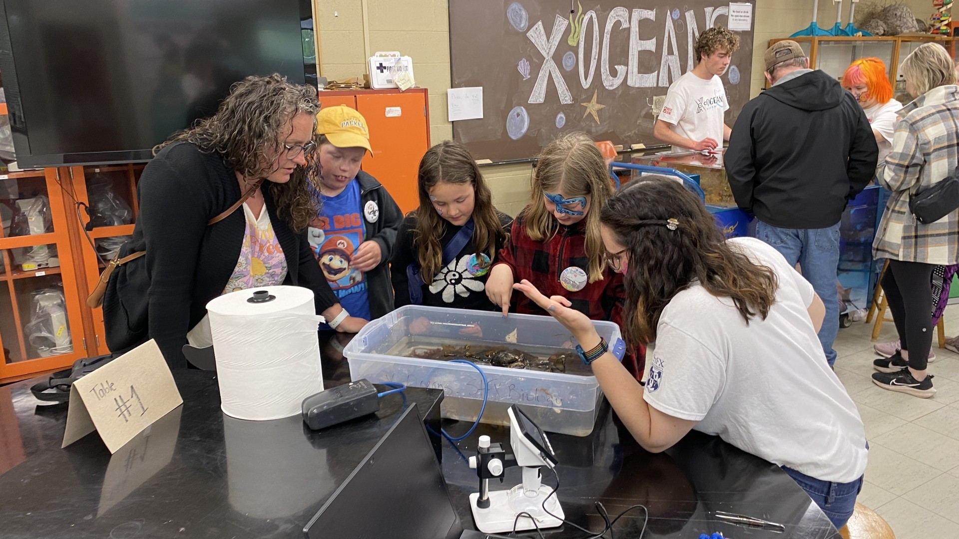 Touch tank at World Oceans Day 2024