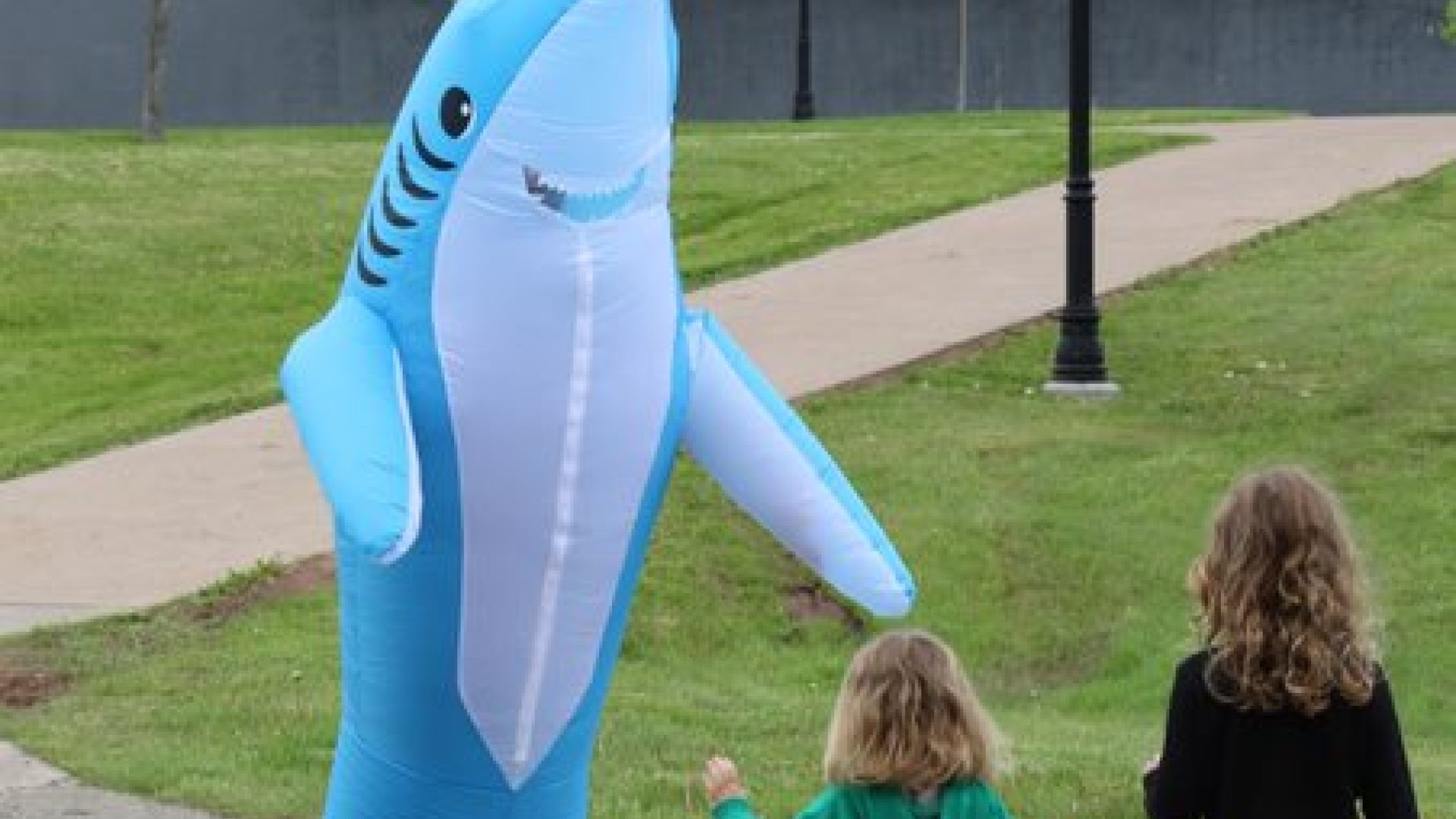 Shark Mascot