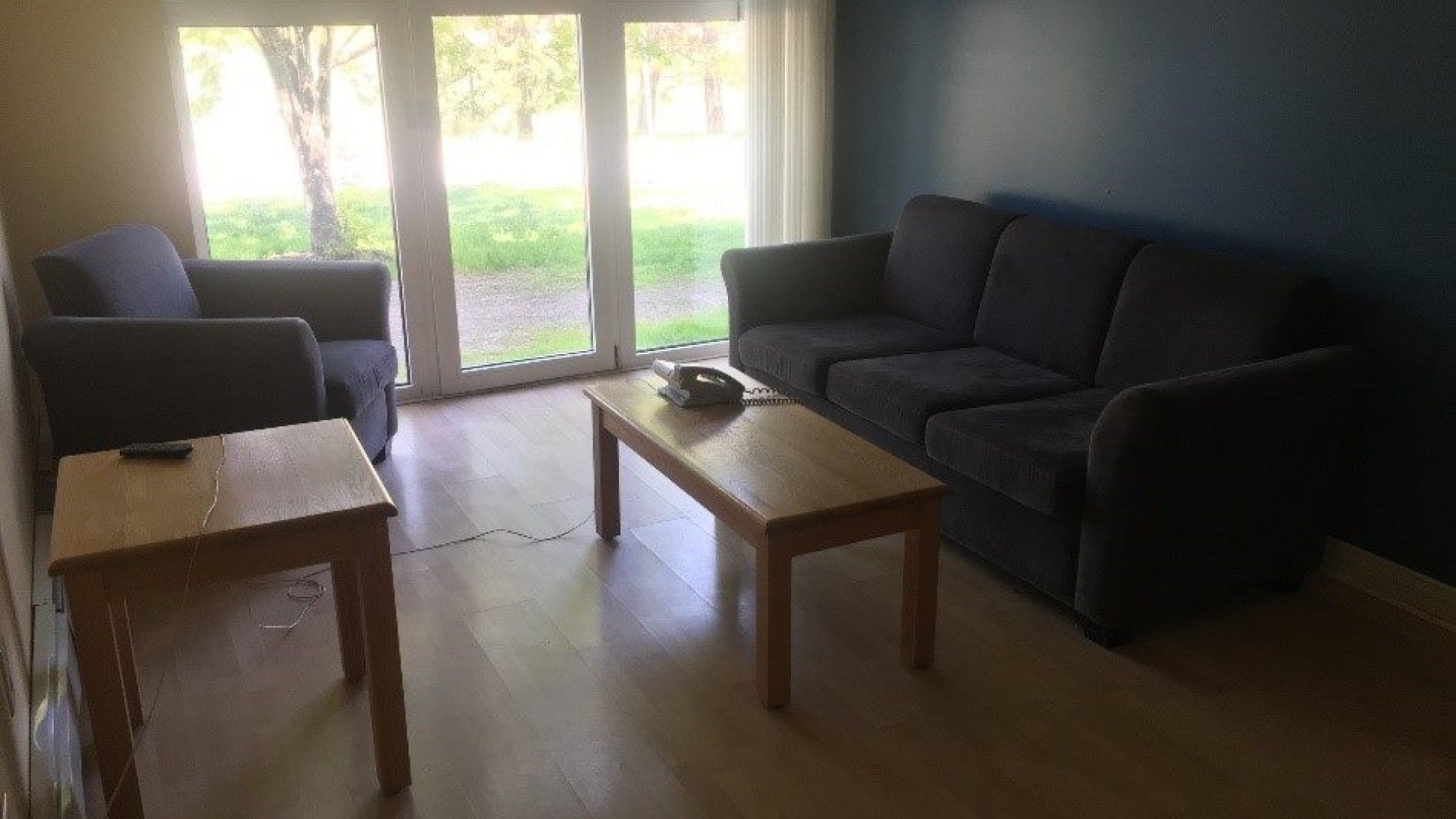 Living room with couches, tables and a window 