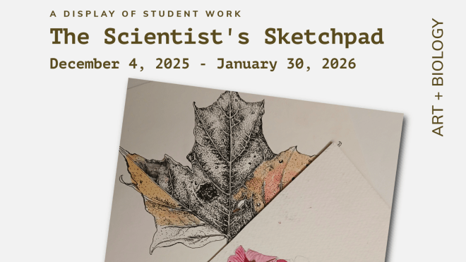 Poster for The Scientist's Sketchpad