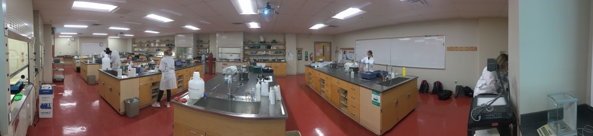 A laboratory with students working