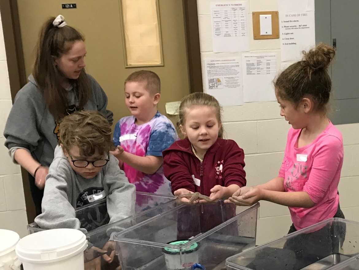 School Students Observing and Handling Starfish
