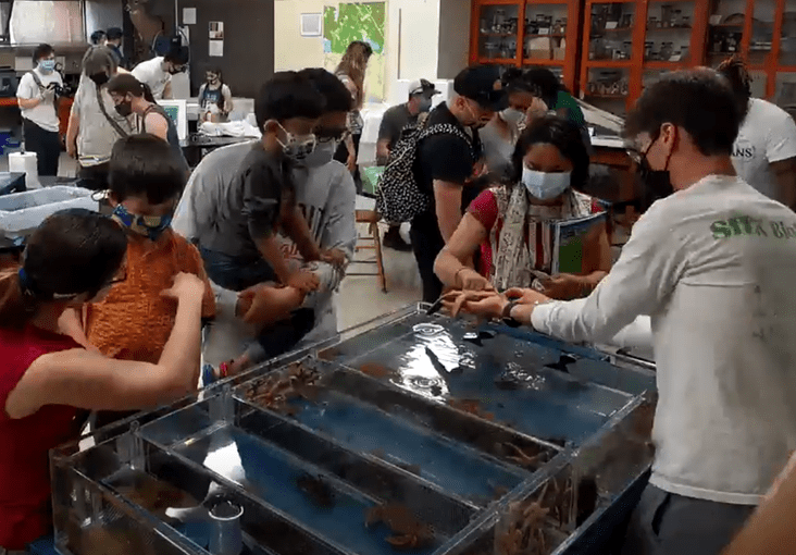 X-Oceans Student Leader Showing Marine Animal to School Students
