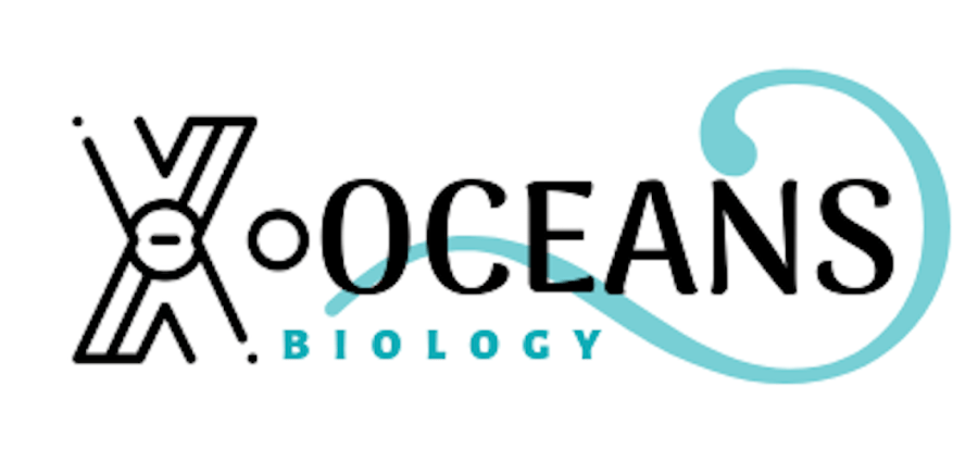 X-Oceans Logo